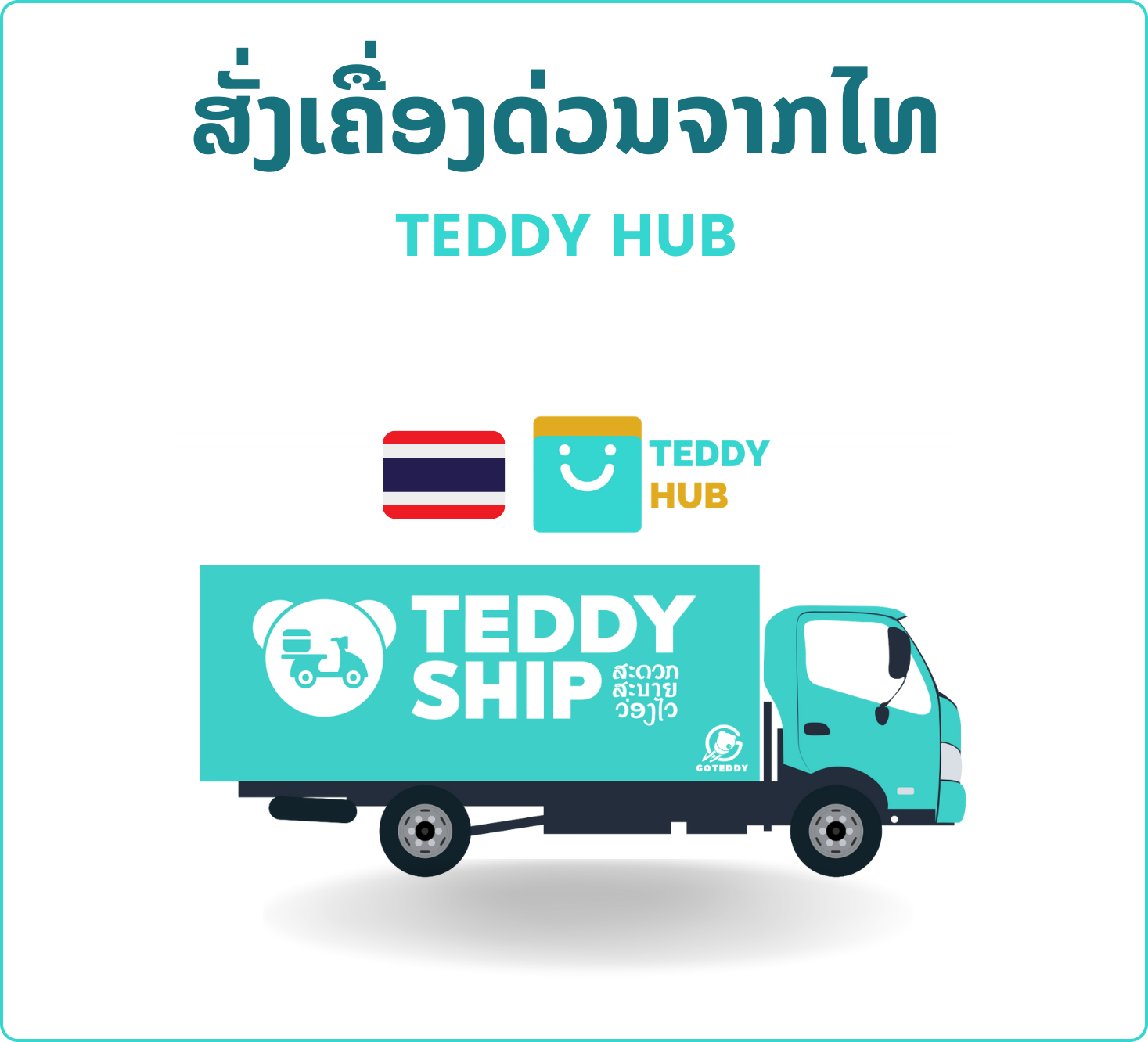 Teddy Hub